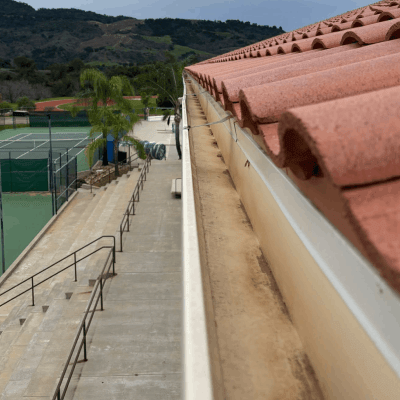 Gutter Cleaning